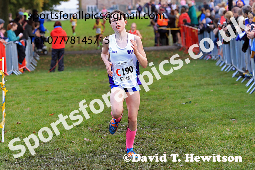 Girls under-13s, 2024 Northern Cross Country Relays, Graves Park, Sheffield.   Photo: David T. Hewitson/Sports for All Pics